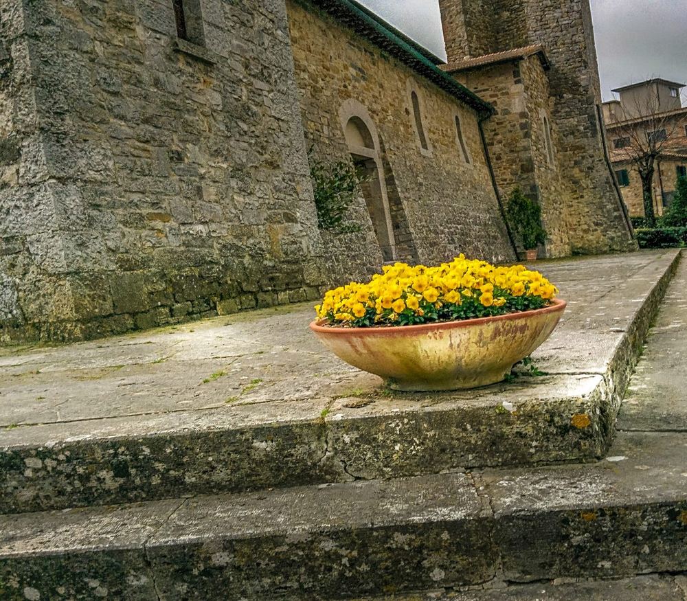 Farm Table Italy